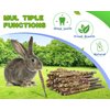 Abizoo Bunny Chew Toys for Rabbits,18PCS Natural Apple Wood Sticks with Petals Good for Chinchillas Guinea Pig Hamster Teeth Care, Bunny Small Pet Treats Teething Toys| Natural Organic Safe