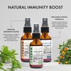 Immunity Pack Liquid Vitamins (Pack of 3) Sambucus Nigra Elderberry Mist, Zinc Boost Mist and Vitamin C Mist (Extra Strength) - Natural Immune System Support - Non-GMO Gluten-Free - 240 Days Supply