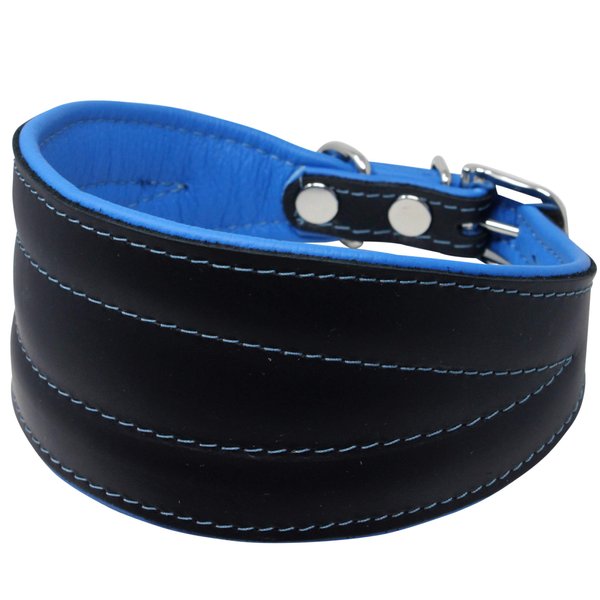 Real Leather Extra Wide Padded Tapered Dog Collar Glossy Black Greyhound Saluki Deerhound Lurcher Whippet Dachshund (13.25"-15.25" Neck; 2.5" Wide, Blue)