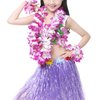 Hawaiian Leis Headband Wristbands Flower Hair Clips Luau Tropical Women Necklace Headpiece Hair Bands Hairband Bracelets Summer Beach Pool Cosplay Dress Up Birthday Party Decorations Supplies Purple