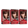Revlon Colorsilk Beautiful Color, Permanent Hair Dye with Keratin, 100% Gray Coverage, Ammonia Free, 12 Dark Mahogany Brown (Pack of 3)