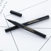 AVIERLL Waterproof Liquid Eyeliner -2Pens Black Eyeliner Long Lasting&Smudgeproof Makeup Liner Easy Liquid Pen 0.03 Fl. Oz (Black)