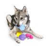 Midlee Jelly Bean Easter Dog Toy- Set of 4 (Small)