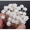 AKOAK 40 Pcs Bride Diamond Pearl Flower Tiara Wedding Bridesmaid Pearl Flower Hair Pin Delicate and Elegant Female U-pin Metal Hair Fork for Women's Hair Jewelry