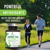 Green Tea Extract Capsules 1000mg 98% Standardized EGCG - 3X Strength for Natural Energy - Heart Support with Polyphenols - Gentle Caffeine - 240 Capsules