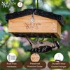 Nature's Way Bird Products CWF2 Cedar wood Suet Upside-Down Bird Feeder, 8.5"L x 8.5"W x 4.13"H, Black