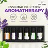 Essential Oils Set by Pure Aroma - Top 6 Aromatherapy Oils Gift Set-6 Pack, 10ml(Eucalyptus, Lavender, Lemongrass, Sweet Orange, Peppermint, Tea Tree)