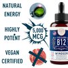 Vegan Vitamin B12 Liquid - Max Strength B12 Vitamins 5000 mcg Methylcobalamin Supplement - Liquid Vitamin B12 Sublingual Drops - Liquid B12 Vitamins Mood, Energy Support - Citrus Flavor B 12, 2oz
