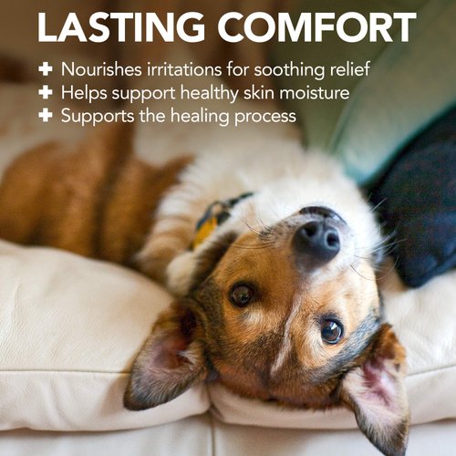 Vet's Best Hot Spot Itch Relief Shampoo for Dogs | Relieves Dog Dry Skin, Rash, Scratching, Licking, Itchy Skin, and Hot Spots | 16 Ounces