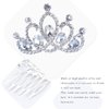 Jakawin Rhinestone Wedding Hair Comb Crystal Flower Girls Headpiece Bridal Tiara Combs Crown Birthday Gift (Sliver)