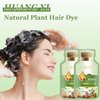 Bubble Plant New Botanical Hair Dye Shampoo - Natural Plant-Based Bubble Coloring Treatment (Coffee Color), 20ml x 10 Packs