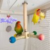 Bird Cage Toys Parakeet, Colorful Interactive Spinner Rattle Parrot Toy, Wall Hanging Small Bird Chewing Toy, Bird Nest Enrichment Toy Accessories for African Grey, Macaws, Budgerigar, Cockatiel(2pcs)