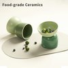 MS!MAKE SURE Elevated Cat Bowl, Ceramic Tilted Cat Food Bowl, Anti Vomit & Whisker Fatigue Cat Bowls for Food and Water (Green)
