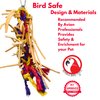 Bonka Bird Toys 2621 Small Leather Braid Chew Preen Parrot Cage Toy, Cockatiel, Parakeet, Conure, and Similar Breed Sizes