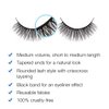 Ardell Aqua False Strip Lashes 344, Water Activated Fake Lashes, No Lash Glue Required, 4 Pack