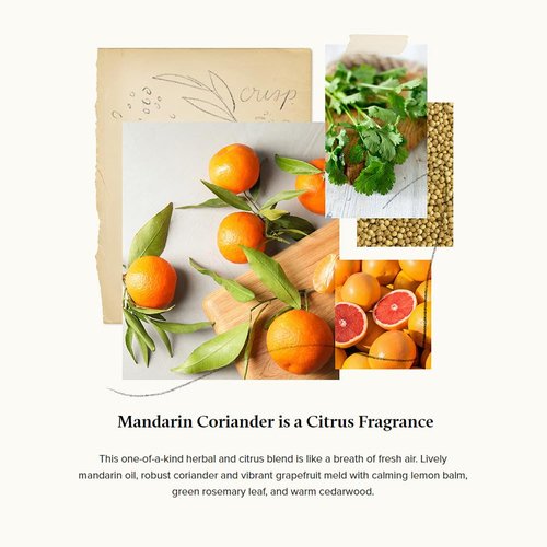 Thymes Hand Wash - Moisturizing Hand Soap Pump Bottle - Hydrating Liquid Hand Soap - Scented Soap with Notes of Mandarin Oil, Coriander, Grapefruit, & Lemon Balm (Mandarin Coriander, 9 fl oz)