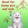 PAW:20 | Bud Jr. The Weed Nug and Jay Jr. The Joint Cat Toy Bundle | Funny Cat Toys | Cool Catnip Toys | Fun Novelty Gift | Play and Funny Photos | (2 Items)