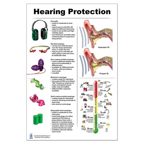 Blue Tree Publishing Hearing Protection Poster 24x36inch, Molded Ear Plug, Banded Ear Plug, Musician Ear Plug