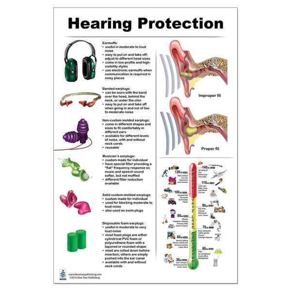 Blue Tree Publishing Hearing Protection Poster 24x36inch, Molded Ear Plug, Banded Ear Plug, Musician Ear Plug