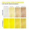 Celeb Luxury Viral Colorwash, Professional Semi-Permanent Hair Color Depositing Shampoo, Yellow 8.25 Fl Oz (Pack of 1)