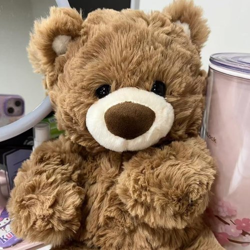 BIUBIULOVE 10Inch Teddy Bear Stuffed Animal, Soft Cuddly Stuffed Plush Bear, Gifts for Kids Baby Toddlers on Baby Shower, Valentine's Day (Dark Brown)