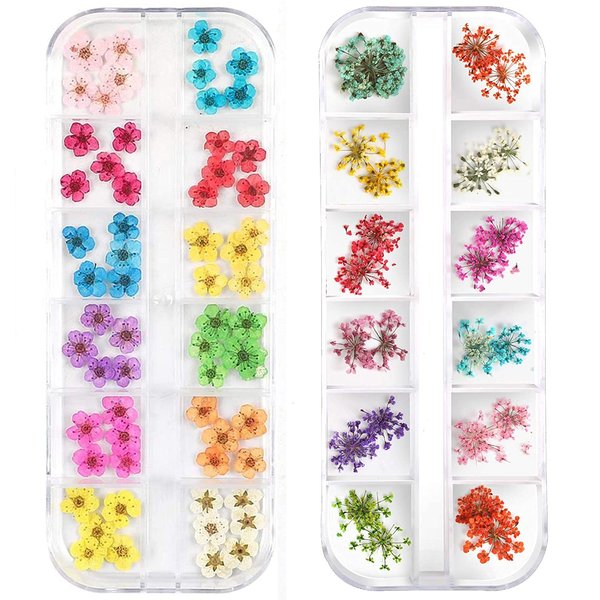 LPOne 2 Boxes 3D Nail Mini Dried Flowers Sticker Nail Art Resin Craft DIY,Real Natural Dried Flowers, Five Petal Flower Leaf Gypsophila Dry Flower Nail Art Decoration Kits., box 5.12 x 1.97 inches