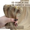 Sunny Human Hair Weft Highlights Hair Extensions Real Human Hair Sew in Blonde Highlight Weft Hair Extensions Human Hair Dark Ash Blonde Highlighted Golden Blonde Sew in Human Hair Bundle 70g 14inch