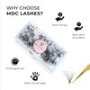 MDC LASHES Promades Eyelash Fan 500fans | 5D-16D, 0.05-0.07 Thickness, C/CC/D Curls, 8-18mm | Volume Lash Extensions Premade Lash Fans Pro Made False Eyelashes Pestanas Pelo A Pelo (14D-0.05-CC-14)