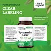 Wild & Organic Spearmint Capsules - 1000 mg Spearmint Supplement for Digestive Support - 30 Days of Supply - 60 Leaves Extract Capsules - Vegan, Non-GMO, Gluten-Free, No Fillers