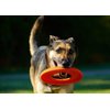 Chuckit! Rugged Flyer Dog Toy, Medium, Assorted Colors