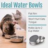 PEGGY11 Stainless Steel Metal Cat Bowls, Nonslip Rubber Bottom, Dishwasher Safe, Easy to Clean - 2 Pack, Each Holds 2 US Cup