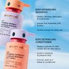 Evereden Happy Hair Duo for Kids: Vegan Shampoo and Conditioner Set with Detangler Brush - Strengthens & Smooths All Hair Types
