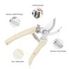 Garden Scissors for Plant, Tip Pruning Shears for Cutting Flowers, Trimming Plants, Bonsai and Fruits Picking (Bypass Blade Pruner)