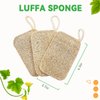 Natural Loofah Sponge Exfoliating Body Scrubber (3 Pack),Loofah Dish Sponge, Natural compostable loofah Plant, Shower Scrub, Remove Dead Skin loofah, Durable, Beige