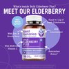 Bold Botanica Elderberry Plus - 65x Concentrated Black Elderberry Extract with Zinc & Vitamin C for Daily Immune Support & Seasonal Wellness - Non-GMO, 30 Vegan Capsules