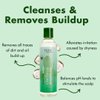 EDEN BodyWorks Peppermint Tea Tree Clear Clarifying Shampoo for Oily Hair, Dry Hair, Curly Hair - Scalp Cleansing Shampoo for Build Up & Dandruff - Paraben & Sulfate Free - 8 oz.