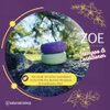 Nature Skin Shop Zoe Keratin Shampoo Bar | Smoothing and Strengthens Hair