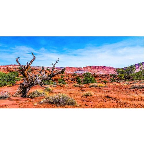 AWERT 48x24 inches Reptile Habitat Background Blue Sky Oasis Orange Desert Terrarium Background Polyester Background