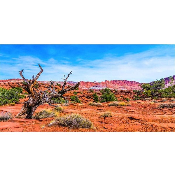 AWERT 48x24 inches Reptile Habitat Background Blue Sky Oasis Orange Desert Terrarium Background Polyester Background