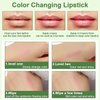 3PCS Aloe Vera Lipstick,Long Lasting Nutritious Color Changing Lip Balm,Natural Moisturizer Magic Temperature Color Change Lip Gloss,Green