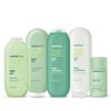 Method Body Wash, Daily Zen, Paraben and Phthalate Free, 18 oz (Pack of 1), Detoxifying