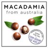 HASK MACADAMIA Moisturizing Hair Oil Vials for shine and frizz control - Pack of 2