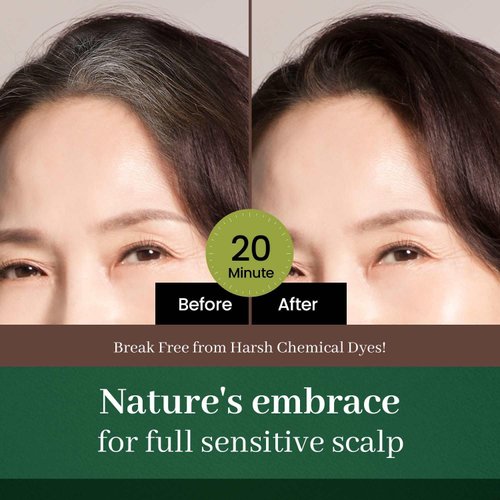 DONGSUNG Herb Speedy Color Cream PPD Free (Deep Brown, 1 pack) Korean Herbal Ammonia Free Vegan Hair Dye Sun Protection Odorless No more Eye and/or Scalp Irritations From Coloring For Sensitive Scalp