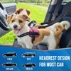 Lukovee Double Dog Seat Belt, New Dual Pet Car Headrest Restraint Safety Seatbelt No Tangle Dog Leash Duty Adjust Elastic Bungee Puppy Lead Splitter Connect Harness in Vehicle Travel for 2 Dogs,Black