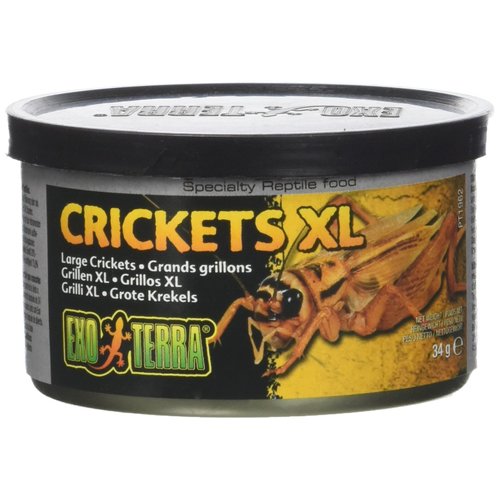 Exo Terra Specialty Reptile Food, Canned XL Crickets for Reptiles, PT1962