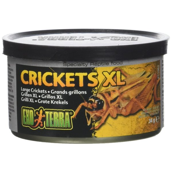 Exo Terra Specialty Reptile Food, Canned XL Crickets for Reptiles, PT1962