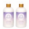 Divina Esencial Calming Lavender Hand Lotion, Shea Butter, 12oz (Pack of 2), Pure Essential Oils, Coconut Oil, Aloe Vera