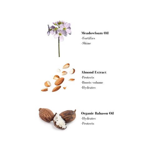 Leonor Greyl Paris - Soin Repigmentant Icy Brown - Color-Enhancing Hydrating Conditioner - Intensifies the Radiance for Dark Blonde to Light Brown Hair (6.7 oz)