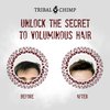 Tribal Chimp Hair Shampoo - Moisturizing Shampoo for Men and Women - For All Hair Types - Removes Excess Oil, Strengthens and Nourishes, 8.8oz