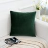 RainRoad Velvet Decorative Throw Pillow Covers Cushion Cover Pillow Case for Sofa Couch Bed Chair,Soft Square Dark Green Throw Pillows 18x18 Inch,Set of 2